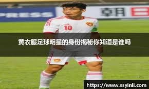 羽毛球国际赛事赛果