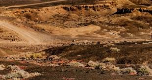 若再输公牛，火箭或将迎来六连败，前路险阻难挡雷霆与森林狼